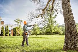 Reliable Lake Waynoka, OH Tree Removal Solutions